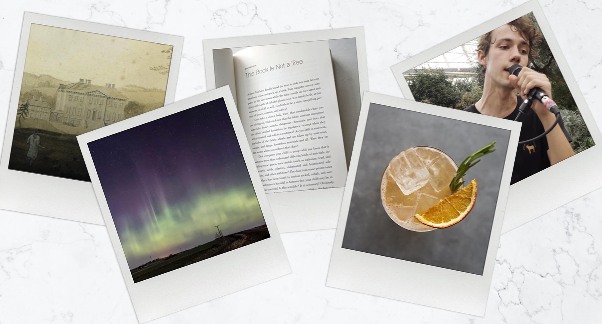 LORNA LOVES: Our founder's latest musings